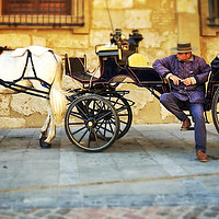 Buy canvas prints of Horse and carriage, Cordoba, Spain by Richard Harris