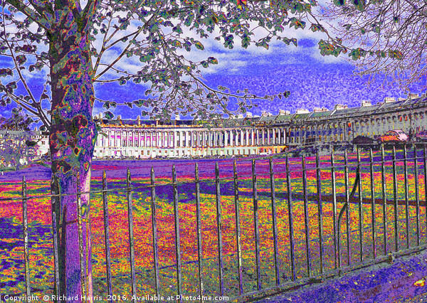 Royal Crescent, Bath Picture Board by Richard Harris