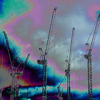 Buy canvas prints of Sea of cranes by Richard Harris