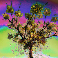 Buy canvas prints of Tree of life by Richard Harris