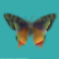 Buy canvas prints of Blurred butterfly by Larisa Siverina