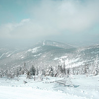 Buy canvas prints of Winter landscape. by Larisa Siverina