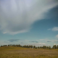 Buy canvas prints of Summer landscape by Larisa Siverina