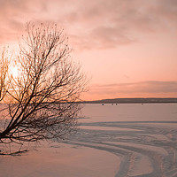 Buy canvas prints of Tree on winter frozen lake by Larisa Siverina