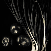 Buy canvas prints of Black vegetable by Larisa Siverina
