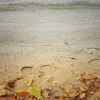 Buy canvas prints of Footprints in the sand by Larisa Siverina
