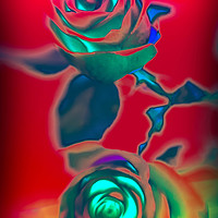 Buy canvas prints of Neon roses by Larisa Siverina