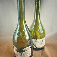 Buy canvas prints of Two wine bottles by Larisa Siverina