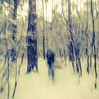 Buy canvas prints of Skier in a winter forest by Larisa Siverina