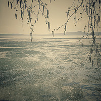 Buy canvas prints of Spring landscape with ice drift on the lake.   by Larisa Siverina