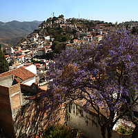Buy canvas prints of Panorama of the city Taxco by Larisa Siverina