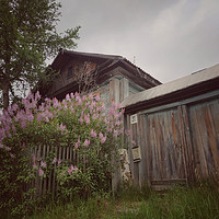 Buy canvas prints of Old wood house. by Larisa Siverina