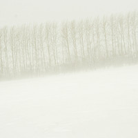 Buy canvas prints of Winter landscape by Larisa Siverina
