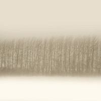 Buy canvas prints of Winter landscape by Larisa Siverina