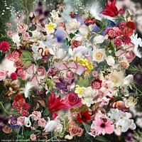 Buy canvas prints of Floral collage by Larisa Siverina