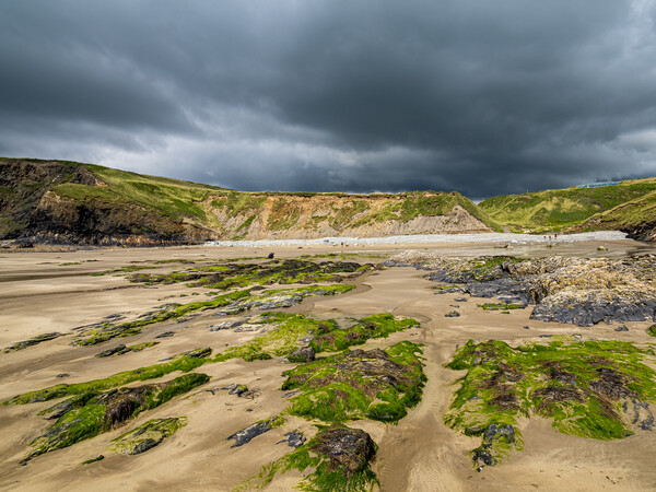 Druidstone Beach, Pembrokeshire, Wales. Picture Board by Colin Allen