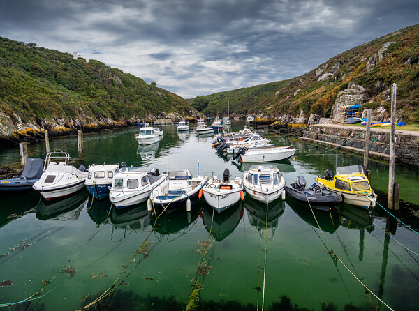 Porthclais Harbour A Turquoise Gem Amidst Dark Sea Picture Board by Colin Allen