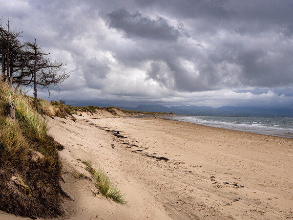 Newborough Beach. Anglesey, Wales Picture Board by Colin Allen
