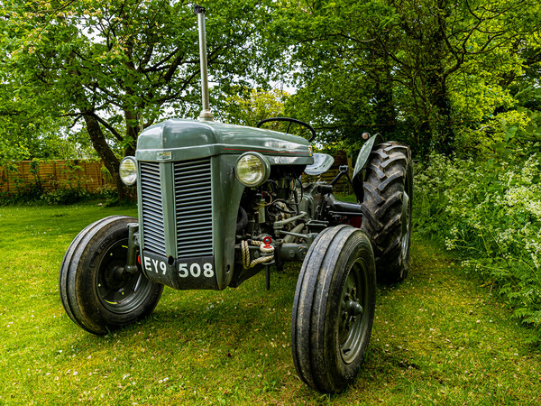 Ferguson T20 Tractor.  Picture Board by Colin Allen