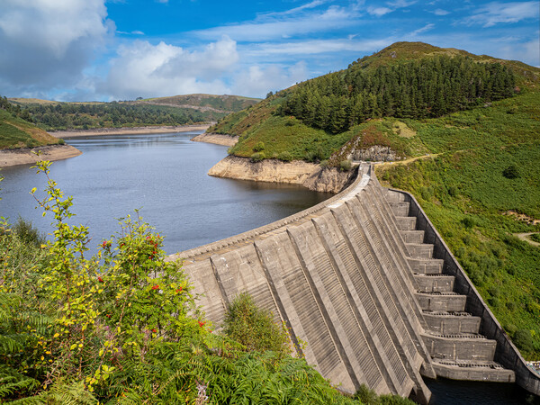 A Desolate Beauty Clywedog Reservoir in Drought Picture Board by Colin Allen