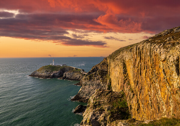 BloodRed Sunset at South Stack Lighthouse Picture Board by Colin Allen
