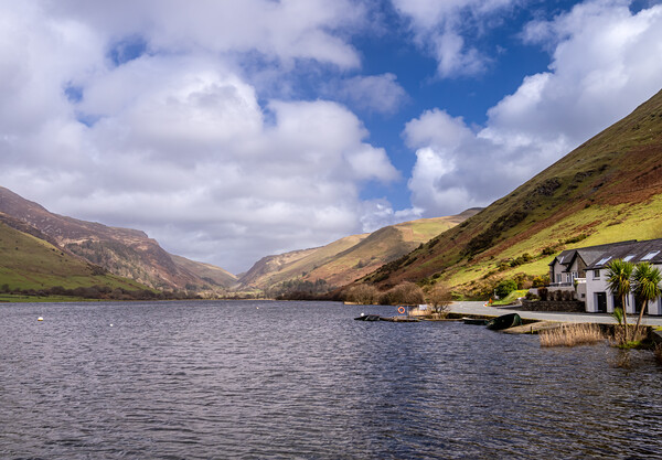Spring at Talyllyn Lake. Picture Board by Colin Allen