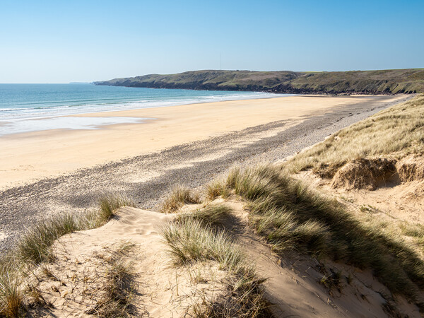 Freshwater West. Pembrokeshire, Wales. Picture Board by Colin Allen