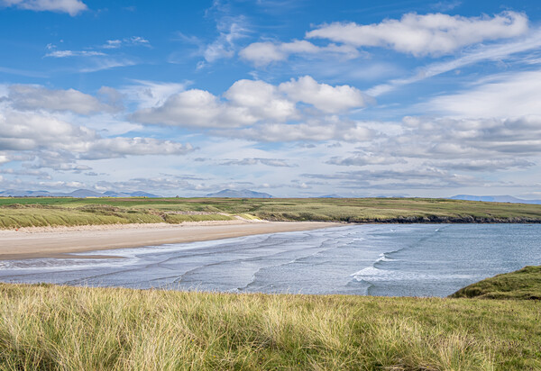 The Beach at Aberffraw. Picture Board by Colin Allen