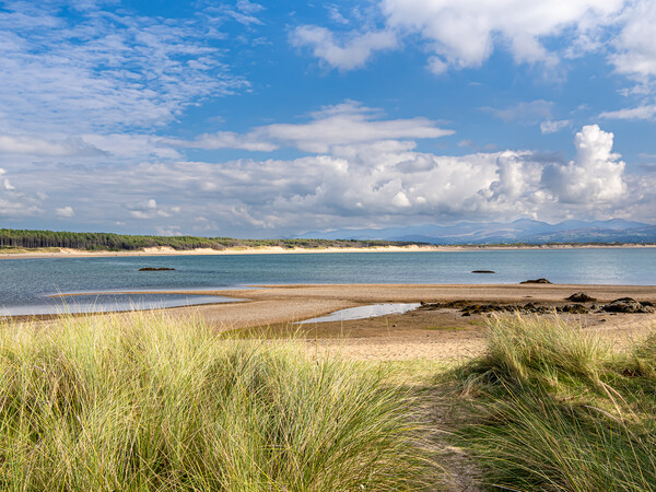 Llanddwyn Island Beach, Anglesey. Picture Board by Colin Allen