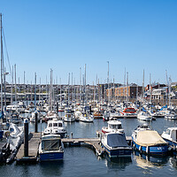 Buy canvas prints of Milford Marina, Milford Haven, Pembrokeshire. by Colin Allen