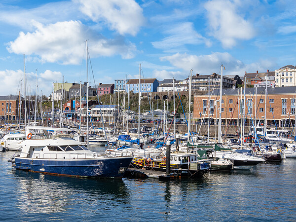 Milford Marina, Milford Haven, Pembrokeshire. Picture Board by Colin Allen