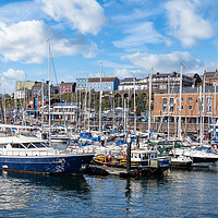Buy canvas prints of Milford Marina, Milford Haven, Pembrokeshire. by Colin Allen