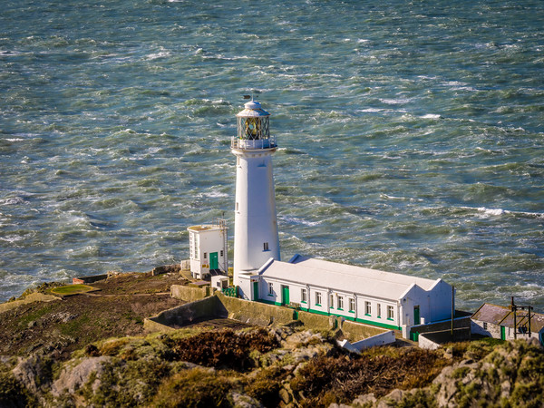 South Stack Lighthouse Picture Board by Colin Allen