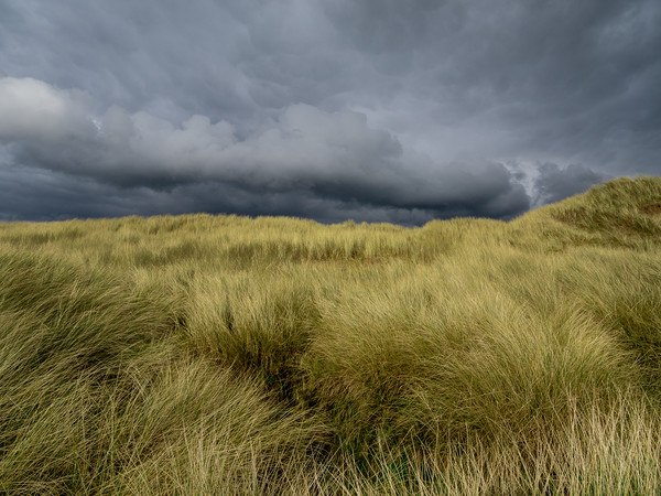 The Storm at Aberffraw. Picture Board by Colin Allen