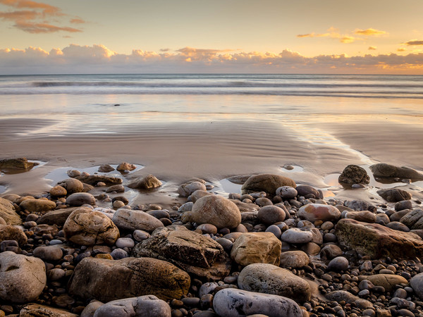  Golden Sunset at Morfa Bychan Beach, Pendine. Picture Board by Colin Allen