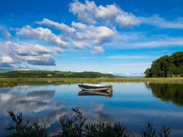 Tranquil Twilight on Laugharne Estuary Picture Board by Colin Allen