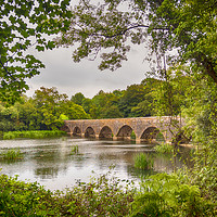 Buy canvas prints of The Eight Arch Bridge at Bosherston. by Colin Allen