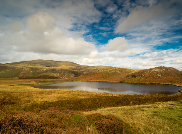 The Bearded Lake - Llyn Barfog Picture Board by Colin Allen
