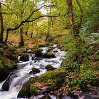 Buy canvas prints of Dolgoch Falls in the Autumn. by Colin Allen