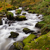 Buy canvas prints of The River at Dolgoch Falls in the Autumn. by Colin Allen