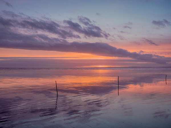 Sunset and the Sticks on Pendine Beach. Picture Board by Colin Allen