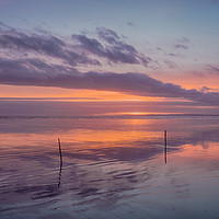 Buy canvas prints of Sunset and the Sticks on Pendine Beach. by Colin Allen