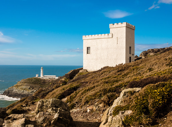 Elin's Tower and South Stack Lighthouse, Anglesey. Picture Board by Colin Allen