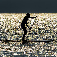 Buy canvas prints of Paddle Boarder at Newgale, Pembrokeshire. by Colin Allen