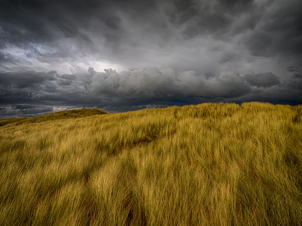 Storm Clouds over the Sand Dunes at Aberffraw Picture Board by Colin Allen