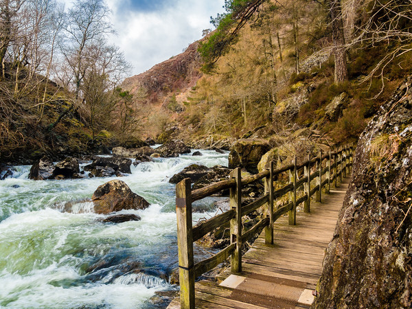 A Walk by the River Glaslyn at Beddgelert. Picture Board by Colin Allen