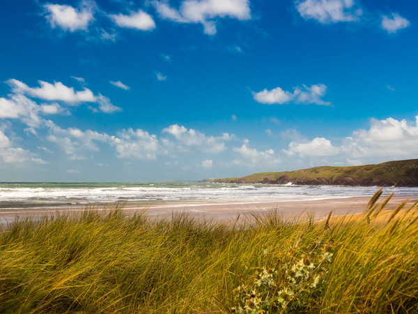 Freshwater West - White Surf Picture Board by Colin Allen