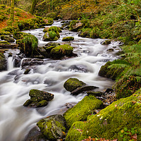 Buy canvas prints of Dolgoch Falls in the Autumn. by Colin Allen