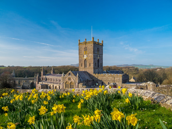 St David's Cathedral, Pembrokeshire, Wales. Picture Board by Colin Allen
