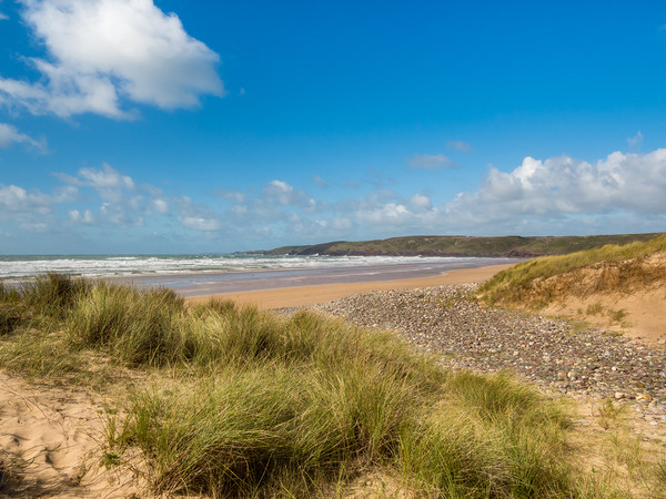 Freshwater West. Pembrokeshire, Wales. Picture Board by Colin Allen